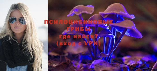 молекула духа Заволжск