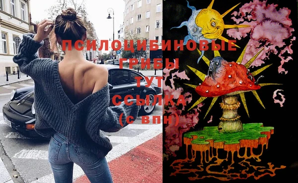 молекула духа Заволжск
