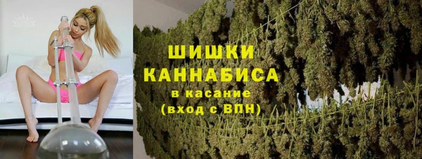дмт Зеленодольск