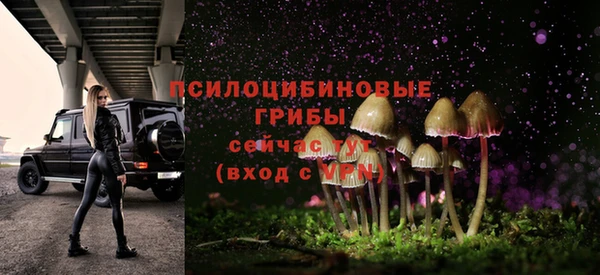 молекула духа Заволжск