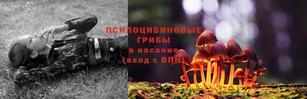 дживик Зерноград