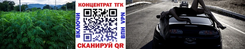 ТГК Wax  Карабаново 