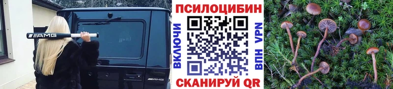 Галлюциногенные грибы Psilocybine cubensis  Карабаново 